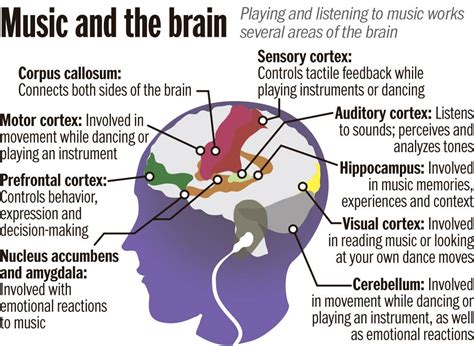 how do different genres of music affect the brain? the influence of music on creativity and emotions